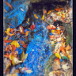 Meet your Posher, Pam